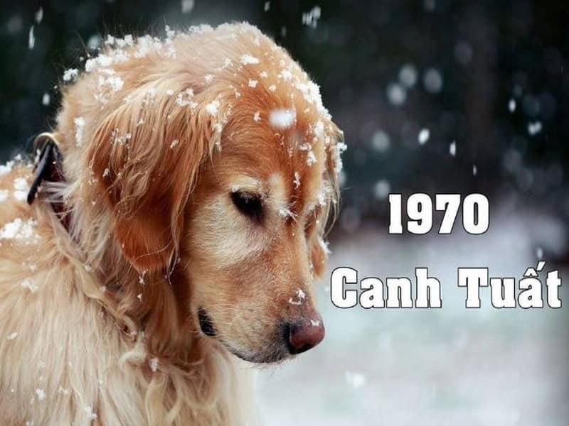 Vật phẩm phong thủy may mắn cho nữ 2005 mệnh Tuyền Trung Thủy bao gồm đá quý màu xanh, đen, trắng, biểu tượng nước và kim loại