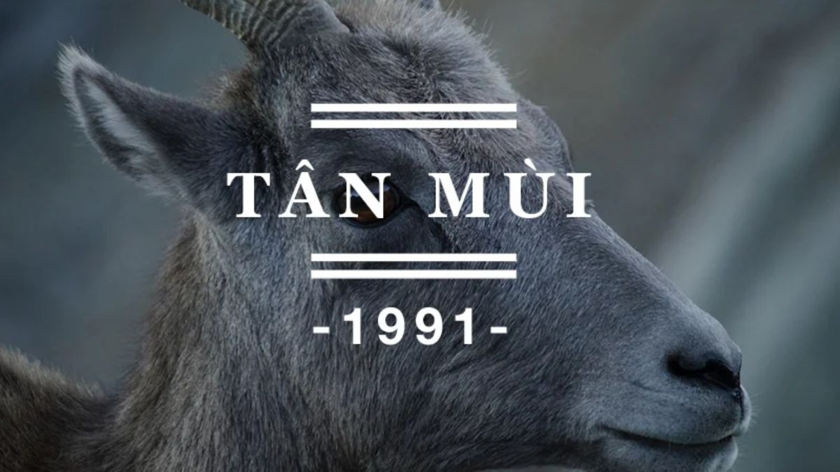 Các loại cây cảnh phong thủy phù hợp với người mệnh Thổ sinh năm 1991
