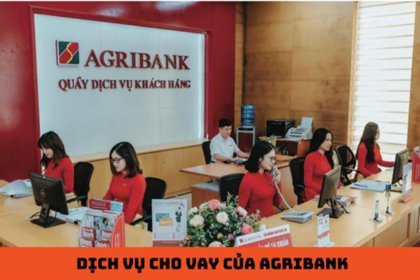 Khách hàng đang tìm hiểu và sử dụng dịch vụ cho vay của Agribank