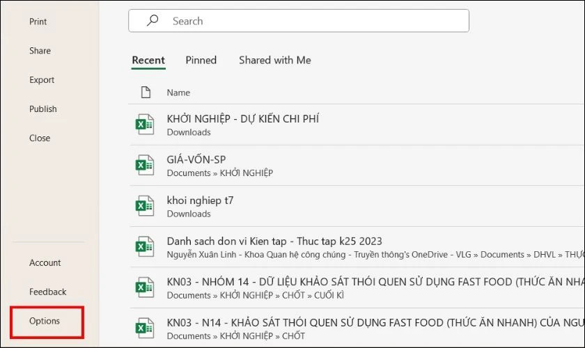 Cửa sổ Excel Options: Truy cập mục Options để chỉnh sửa định dạng số