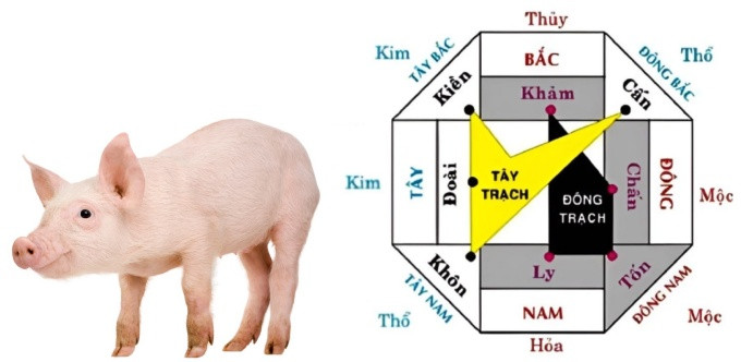 Bản vẽ nhà với các hướng phong thủy phù hợp cho gia chủ sinh năm 2007