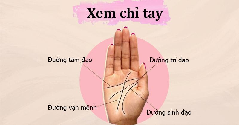Hướng dẫn xem và phân tích các gò trên bàn tay chi tiết