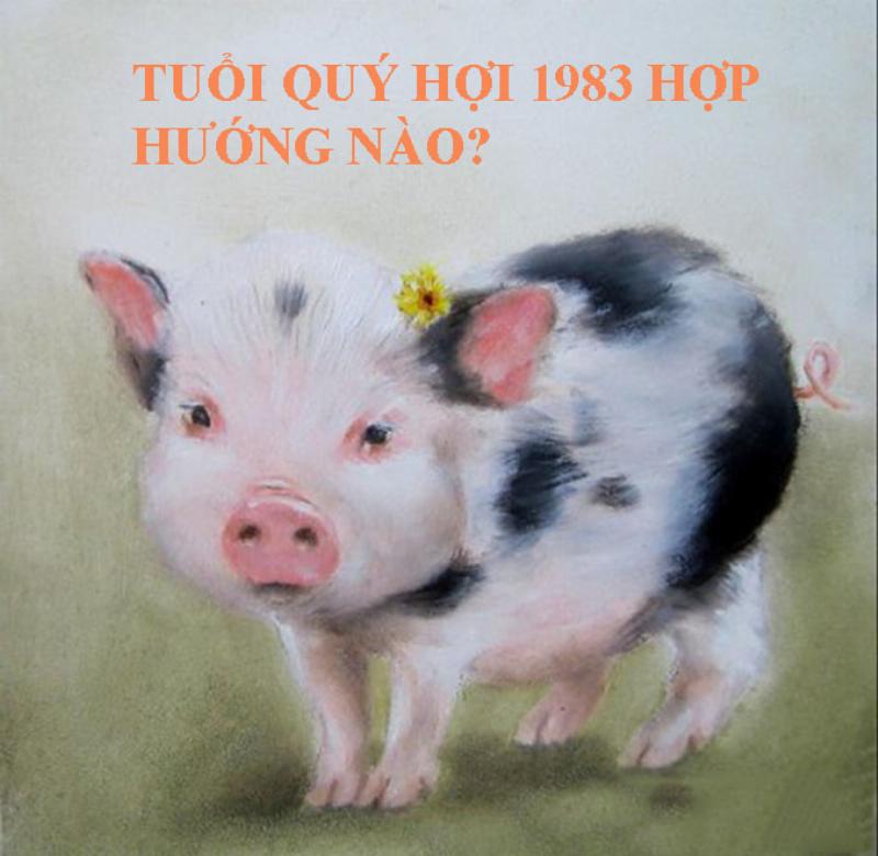Sơ đồ bát quái và các hướng hợp, kỵ cho người tuổi Quý Hợi 1983 trong phong thủy nhà cửa.