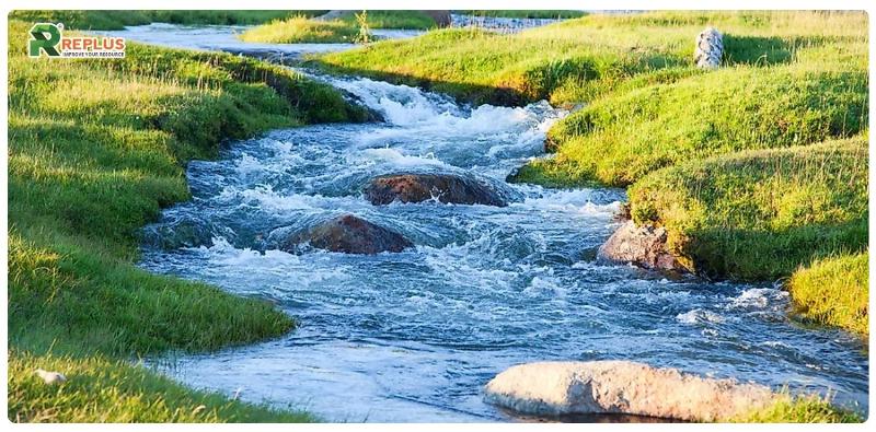 Màu sắc và con số may mắn cho người sinh năm 1999 hòa hợp với thiên nhiên