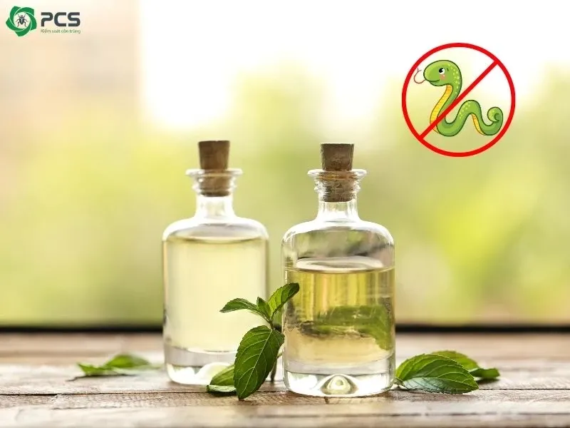 Một người nông dân đang kiểm tra vườn rau sạch của mình, xung quanh có hàng rào bảo vệ và các biện pháp xua đuổi rắn tự nhiên. Hình ảnh thể hiện sự chung sống hòa bình và an toàn giữa con người và tự nhiên, tập trung vào các biện pháp phòng ngừa để tránh chạm trán rắn độc, đồng thời nêu bật ý thức bảo vệ môi trường sống chung.
