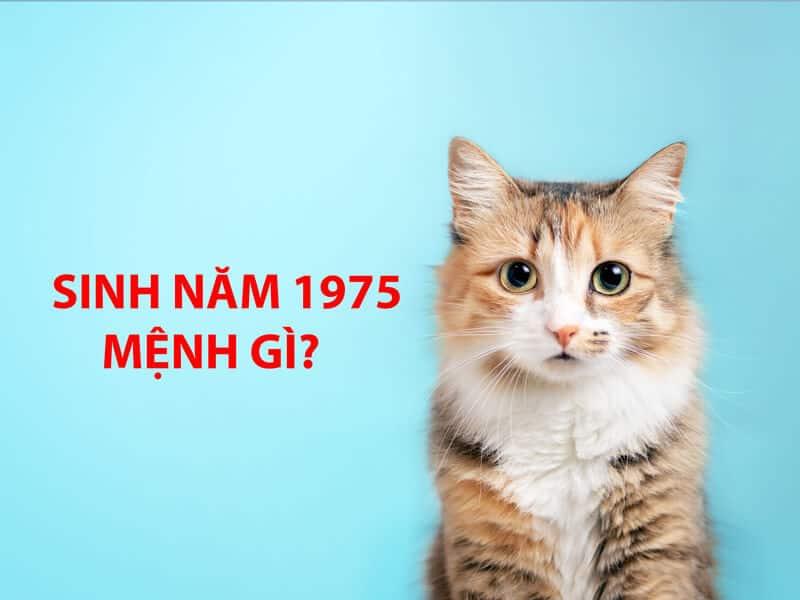 Nước chảy trên đá tượng trưng cho mệnh Thủy của người sinh năm 1975