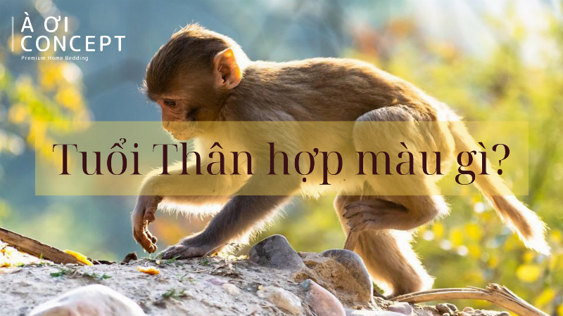 Ứng dụng phong thủy để cải thiện vận khí tuổi Thân 2021, mang lại may mắn