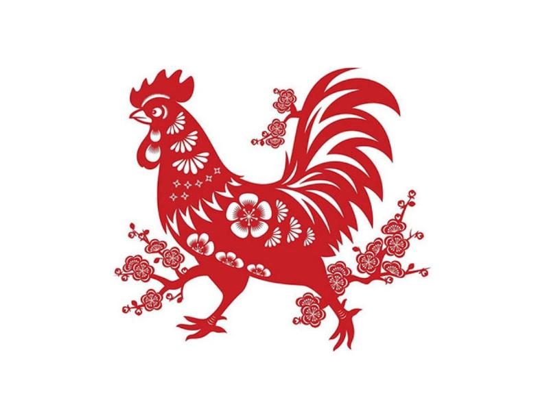 Phong thủy cửa chính nhà hướng đông bắc, cách thu hút tài lộc và may mắn