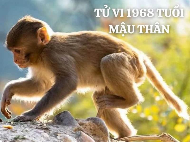 Sao Thái Âm phát triển tài lộc sự nghiệp vững chắc