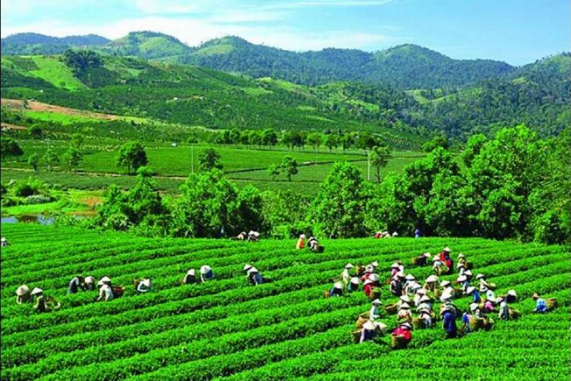 Thần Số Học và môi trường hài hòa, phát triển bền vững năm 2024