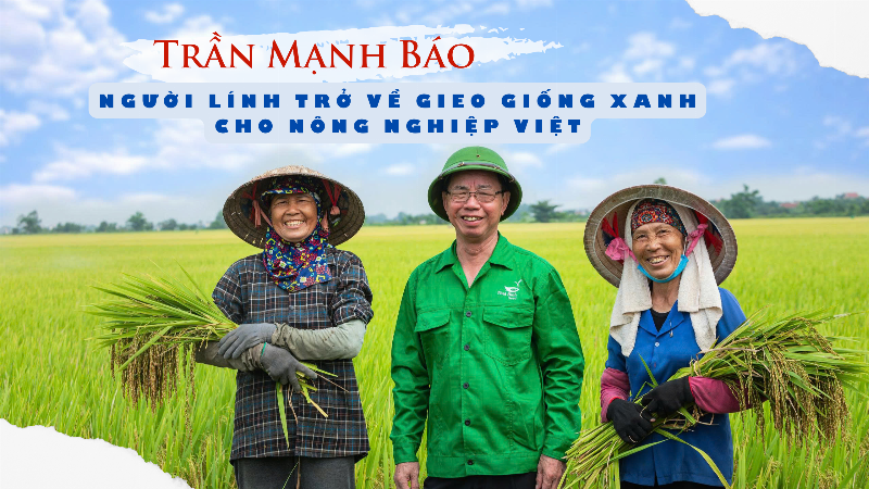 Trách nhiệm của chúng ta đối với môi trường và hạt lúa