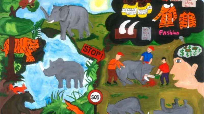 Ảnh chủ đề ngừng săn bắn động vật hoang dã