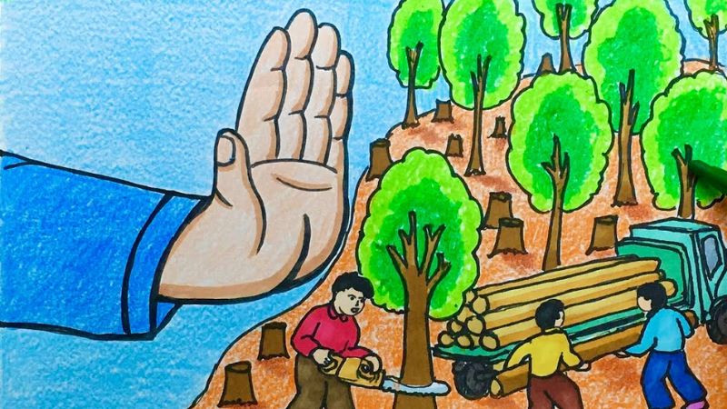 Ảnh chủ đề tuyên truyền không chặt phá cây rừng bừa bãi