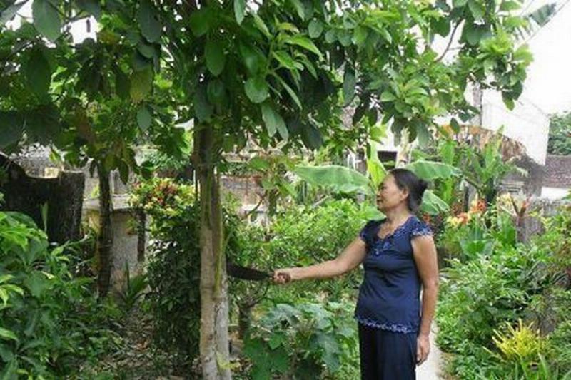 Trẻ em đeo vòng ngũ sắc trong Tết Đoan Ngọ mùng 5/5