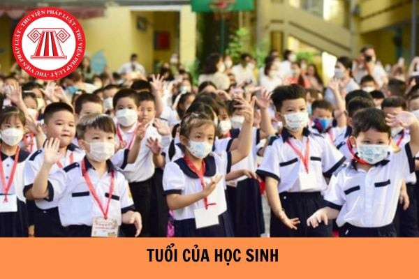 Bảng tổng hợp độ tuổi học sinh các lớp từ 1 đến 12 vào năm 2025, giải đáp thắc mắc lớp 9 bao nhiêu tuổi và năm sinh tương ứng.