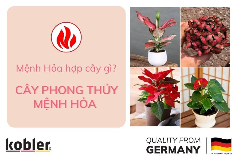 Người tuổi Hợi 1995 Ất Hợi đang thực hành thiền trong khu vườn xanh tươi, biểu tượng sức khỏe dồi dào và hòa hợp phong thủy năm 2023