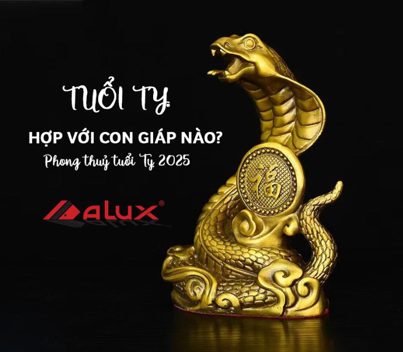 Tuổi Tỵ Dậu Sửu hợp nhau trong hôn nhân và làm ăn phát đạt