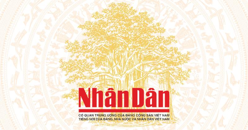 Ý nghĩa của hạt lúa trong giấc mơ người Việt và tầm quan trọng của nó đối với cuộc sống