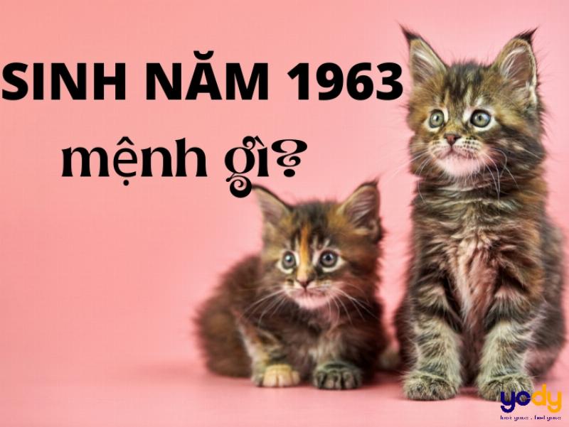 Ý nghĩa ngũ hành và con giáp của người sinh năm 1963 tuổi Quý Mão mệnh Kim