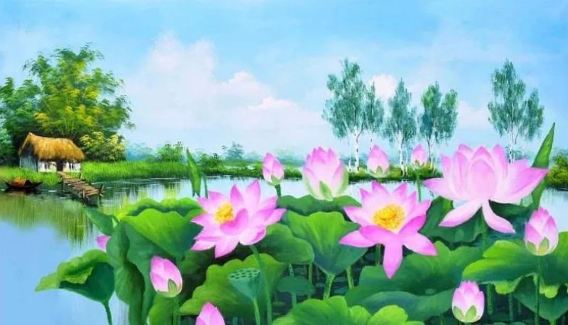 Hình ảnh vẽ hoa sen đẹp với đường nét mềm mại