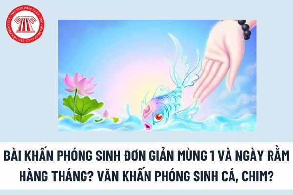 Người đang thực hiện lễ phóng sinh cá