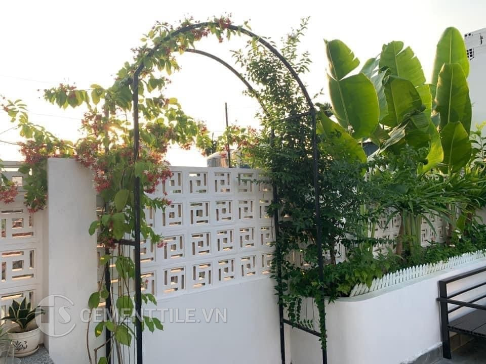 Bông gió kết hợp cây xanh tạo hàng rào đẹp tự nhiên