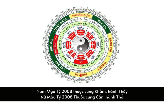 Cung mệnh người sinh năm 2008 khác nhau theo giới tính