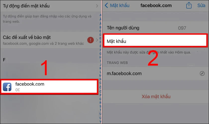 Mô tả cách chọn tài khoản Facebook và xem mật khẩu trên giao diện iOS 14
