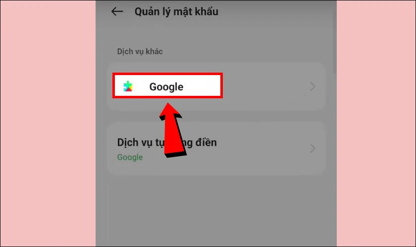 Màn hình hiển thị chọn Google trong phần quản lý mật khẩu trên Samsung