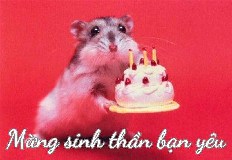Ảnh chế chúc mừng sinh nhật với khuôn mặt ngạc nhiên