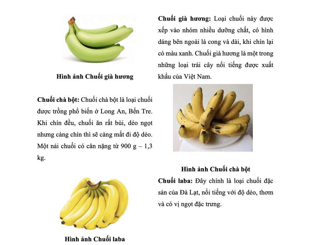 Một số giống chuối phổ biến ở Việt Nam và trên thế giới