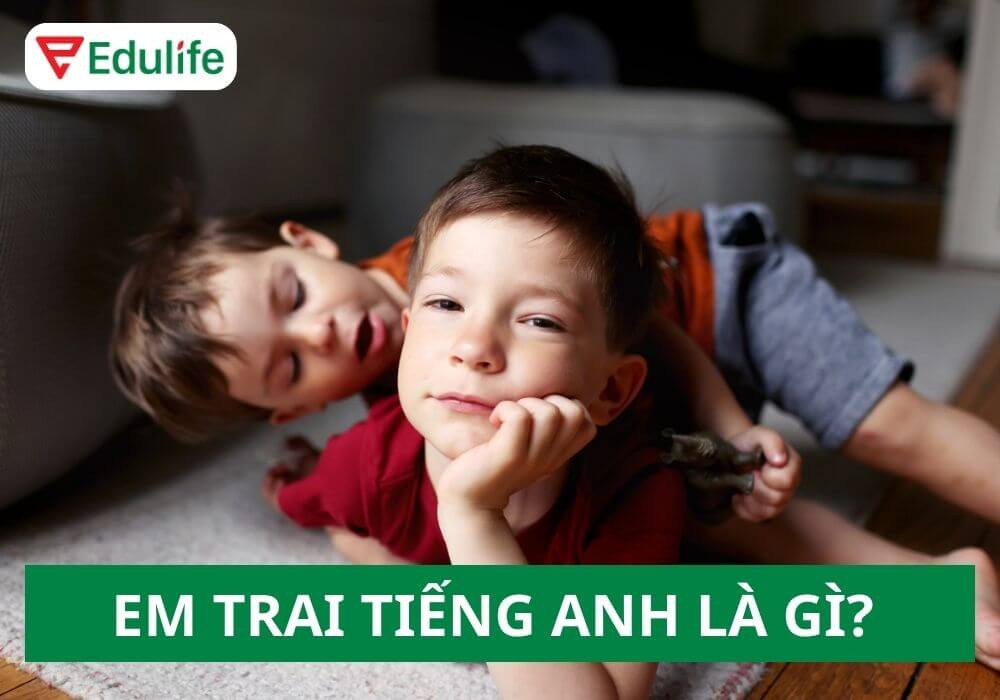 Từ vựng tiếng Anh để gọi em trai một cách chính xác và thân mật