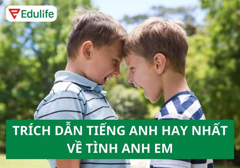 Những câu nói hay về tình anh em trong tiếng Anh ý nghĩa sâu sắc
