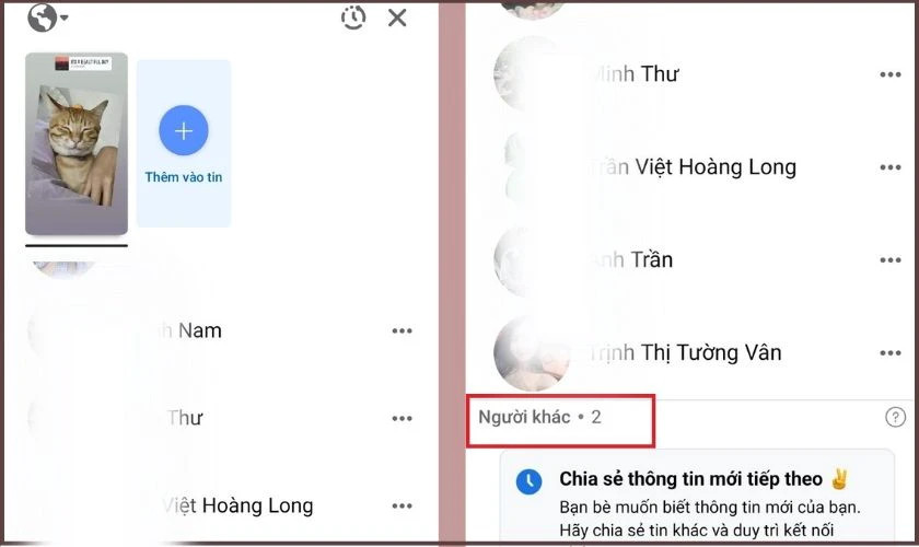 Danh sách người xem story Facebook với mục người lạ ẩn danh ở cuối