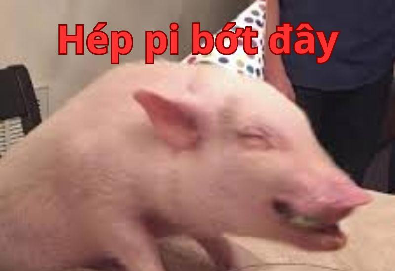 Meme Happy Birthday với khuôn mặt cảm thán