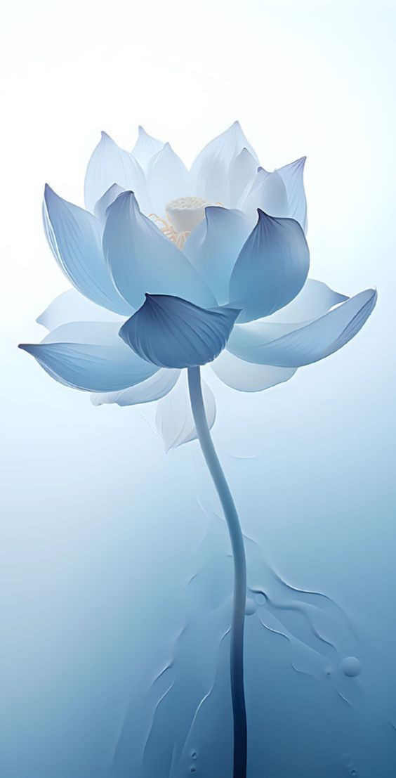 Hình nền hoa sen màu xanh với giọt sương trên lá