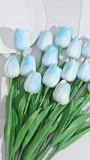 hình nền hoa tulip màu xanh dễ thương