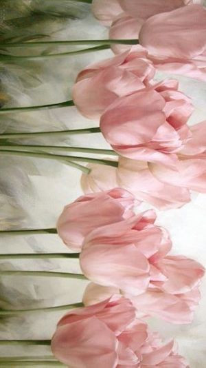 hình nền hoa tulip vẽ hiện đại