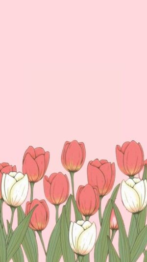hình nền hoa tulip vẽ tay độc đáo