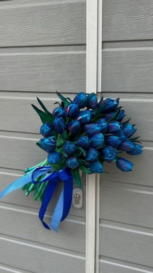 hoa tulip màu xanh lam