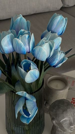 hoa tulip xanh đẹp