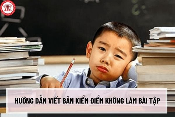 Mẫu bản kiểm điểm học sinh không làm bài tập minh họa cấu trúc