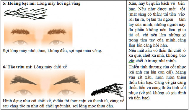 Lông mày hơi ngả vàng và lông mày như chổi xể