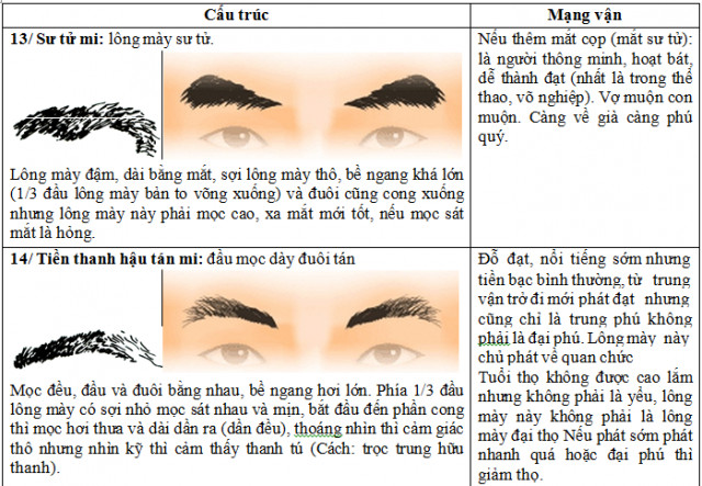 Lông mày đậm, dày nhưng đuôi mỏng