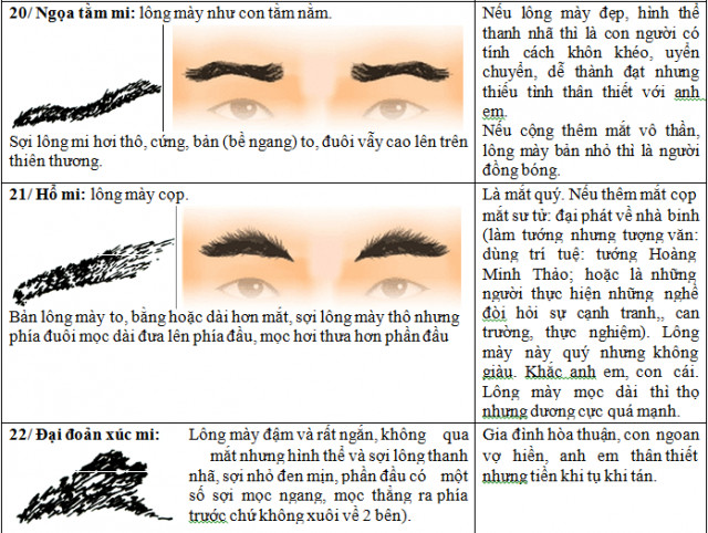Lông mi thô cứng, lông mày to bằng và lông mày đậm ngắn