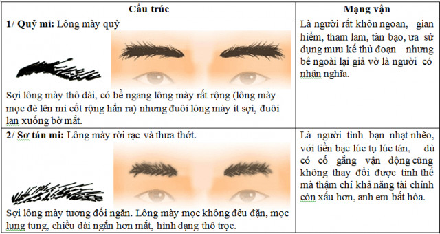 Các dạng lông mày nam nữ trong nhân tướng học