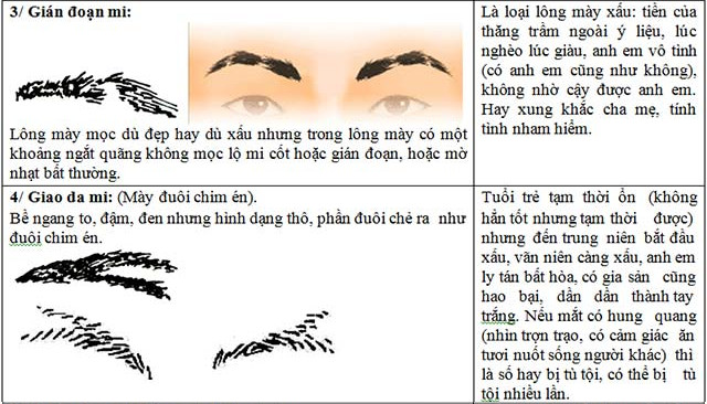 Lông mày mọc ngắt quãng và lông mày như chim én