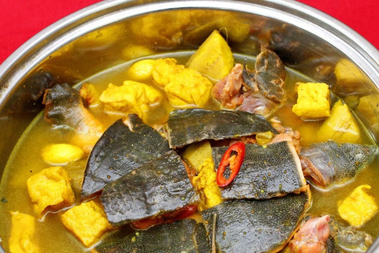 Hình ảnh ba ba tươi sống, nguyên con trước khi sơ chế