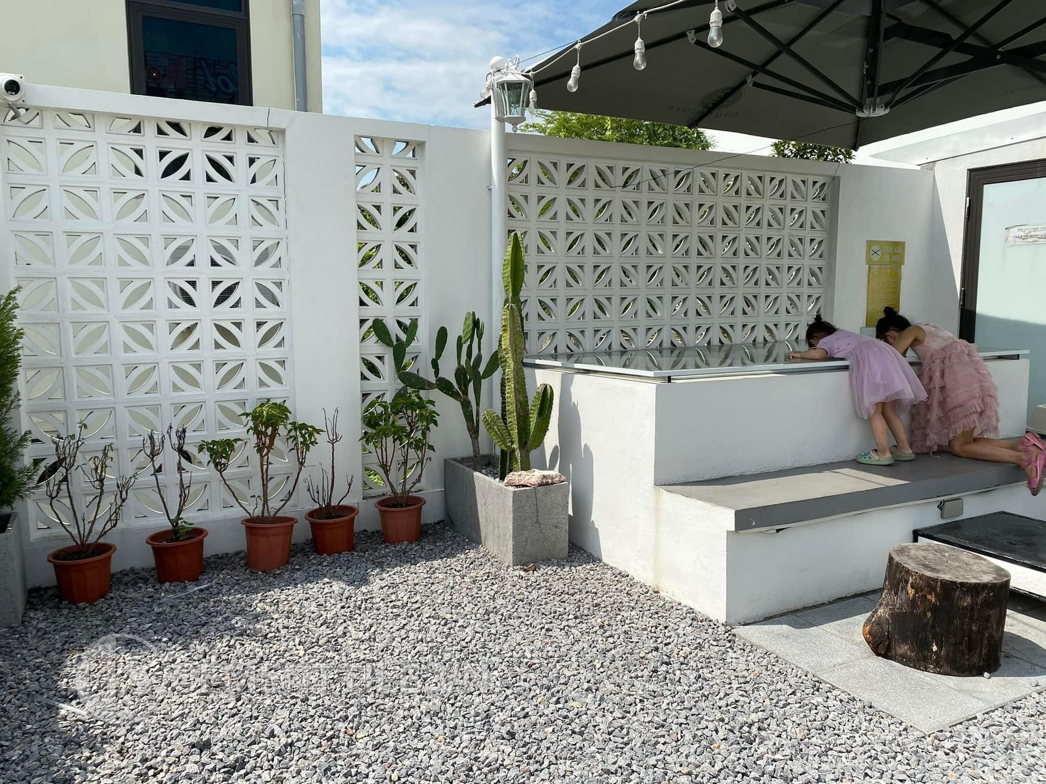 Mẫu hàng rào gạch bông gió 30x30 hình chiếc lá