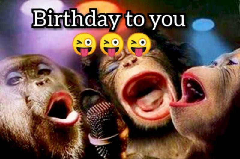 Meme chúc mừng lầy lội với biểu cảm &quot;hơi quá&quot;